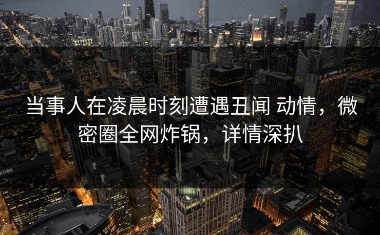 当事人在凌晨时刻遭遇丑闻 动情，微密圈全网炸锅，详情深扒