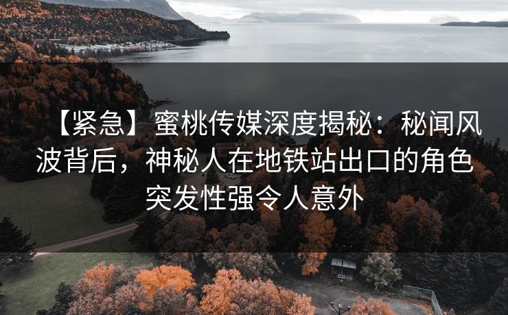 【紧急】蜜桃传媒深度揭秘：秘闻风波背后，神秘人在地铁站出口的角色突发性强令人意外