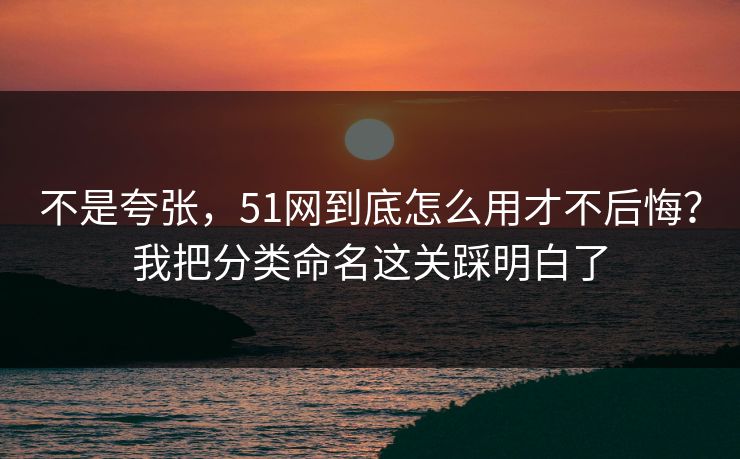 不是夸张，51网到底怎么用才不后悔？我把分类命名这关踩明白了